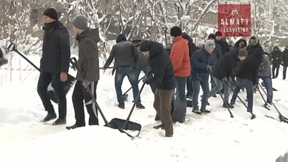 Алматыда жүргіншілер жолын қардан тазалау акциясына студенттер белсене қатысты