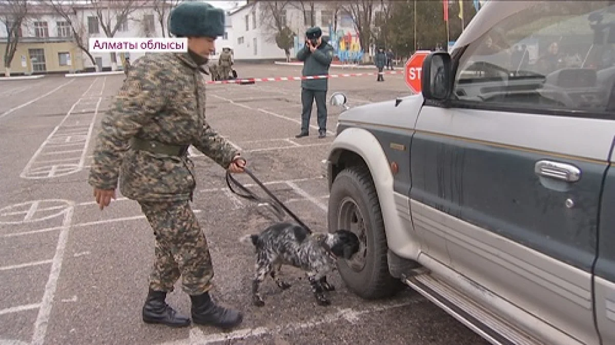 Отандық кинологтар шетелдік әріптестерімен тәжірибе алмасты