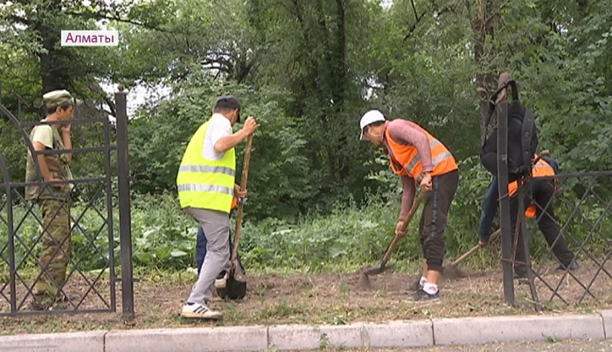 В Алматы начали благоустраивать рощу Баума