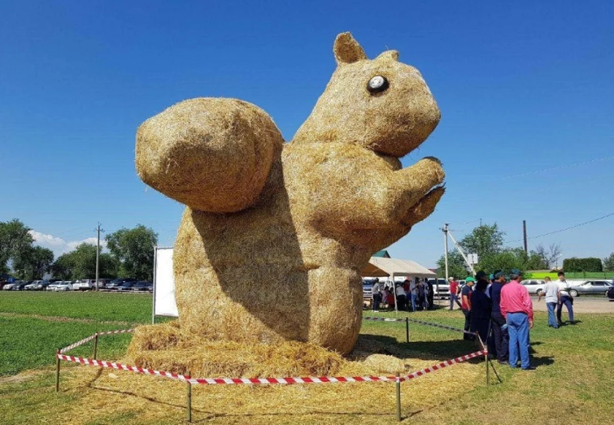 Қаскелеңде алматылық алып тиіннің сыңары пайда болды