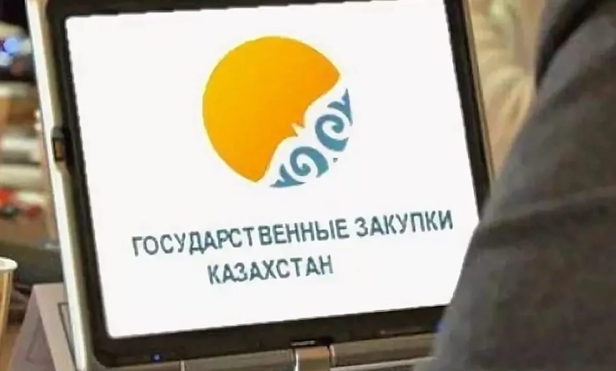 Причину платного доступа на сайт госзакупок объяснили в Минфине РК