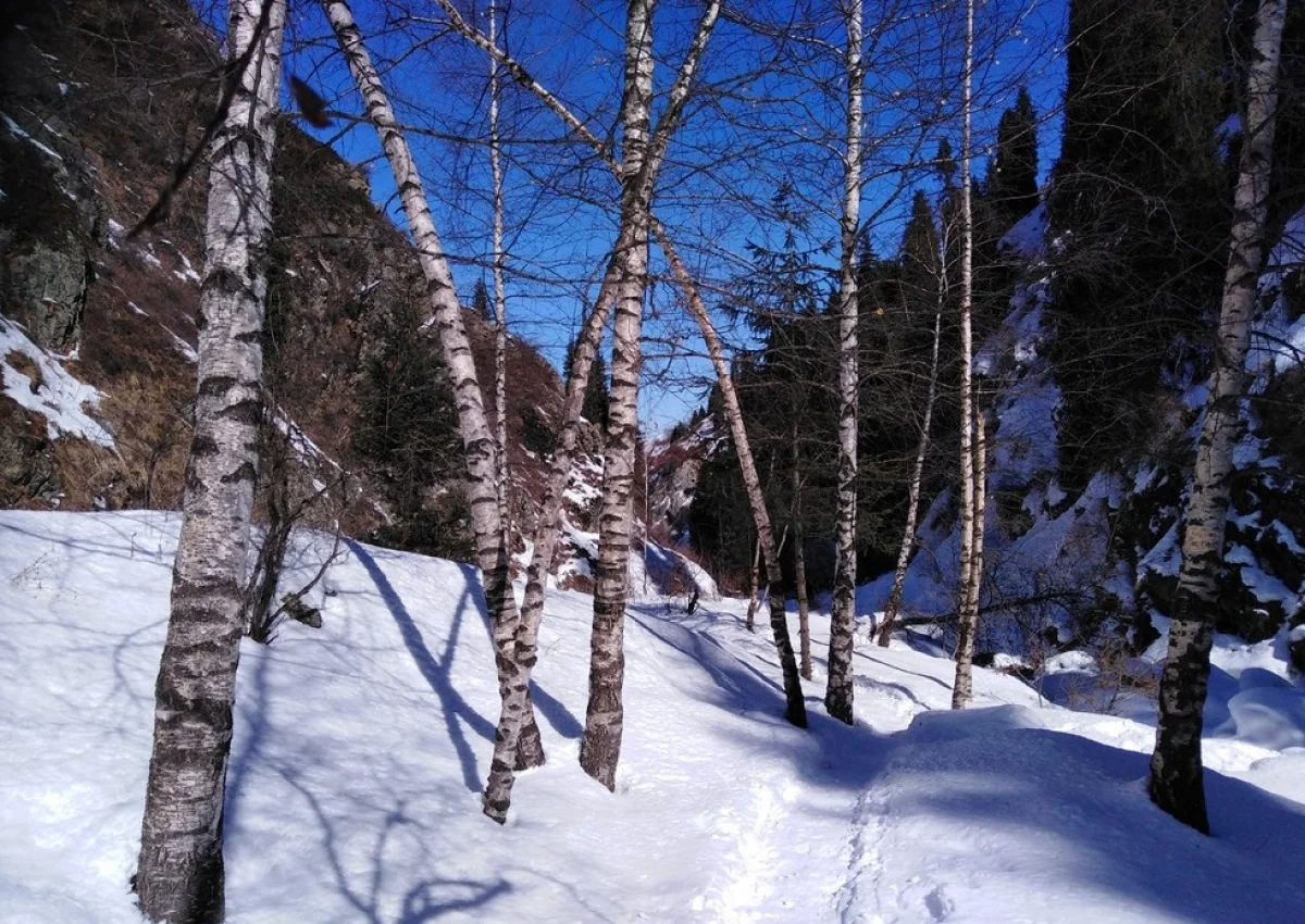 Фото Victor Glutsenko