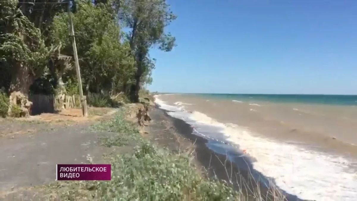 Уровень воды в Алаколе растет каждый год - местные бьют тревогу