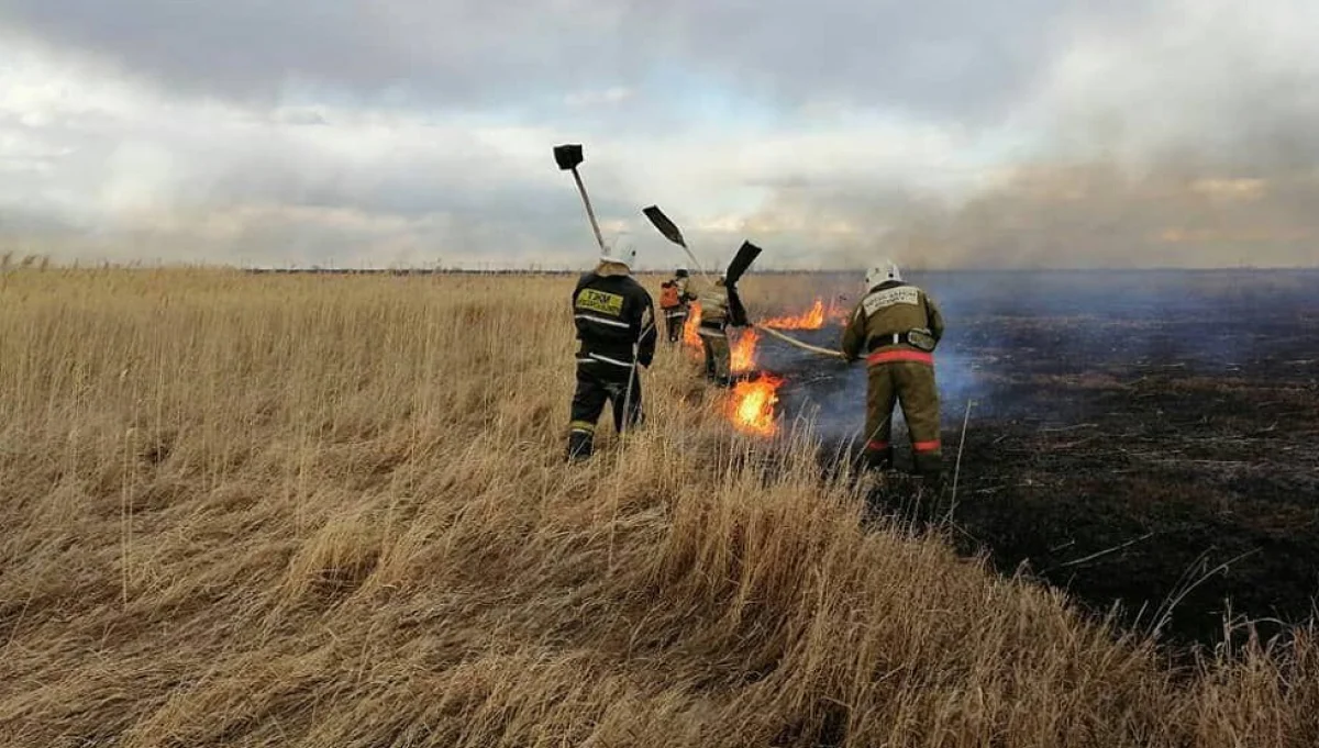 Фото: ҚР ІІМ ТЖК баспасөз қызметінен