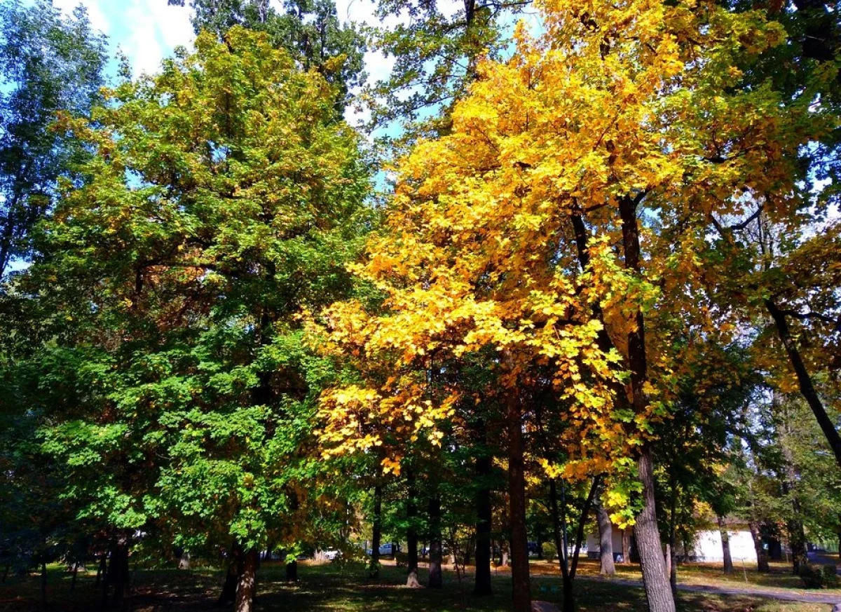 фото Victor Glutsenko