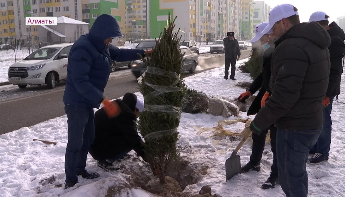 Алматының Наурызбай ауданында «Тәуелсіздік» аллеясы ашылды