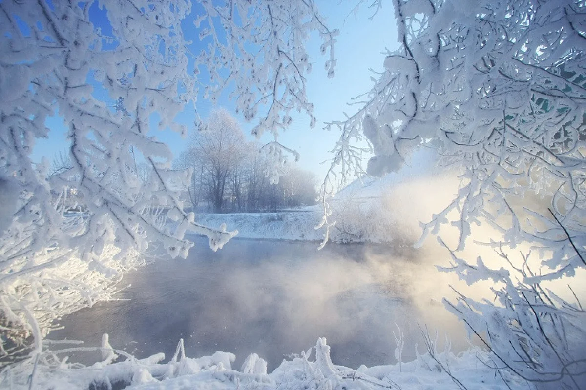 Фото: ашық дереккөзден