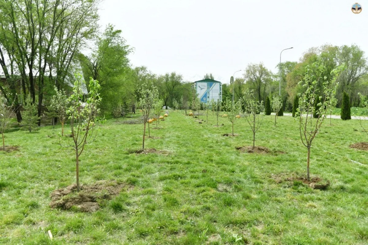 Аллея имени Елбасы открылась в КазНУ