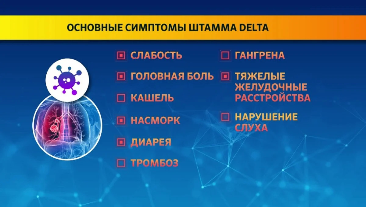 Almaty.tv