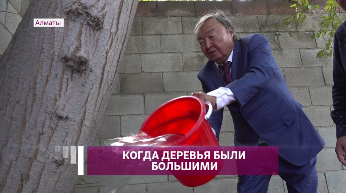 Almaty.tv