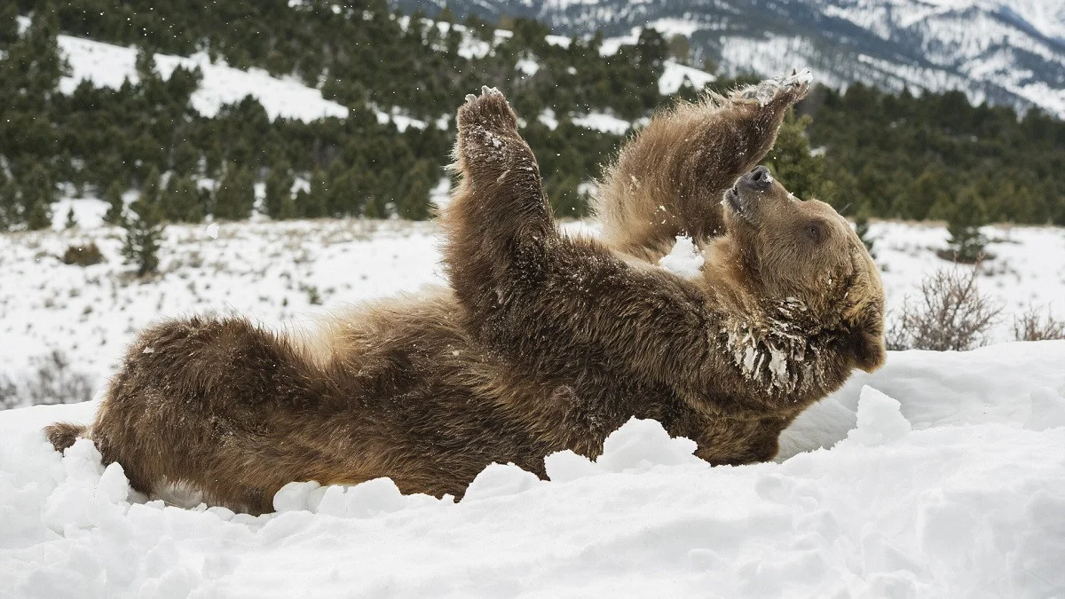 Фото: fototelegraf.ru