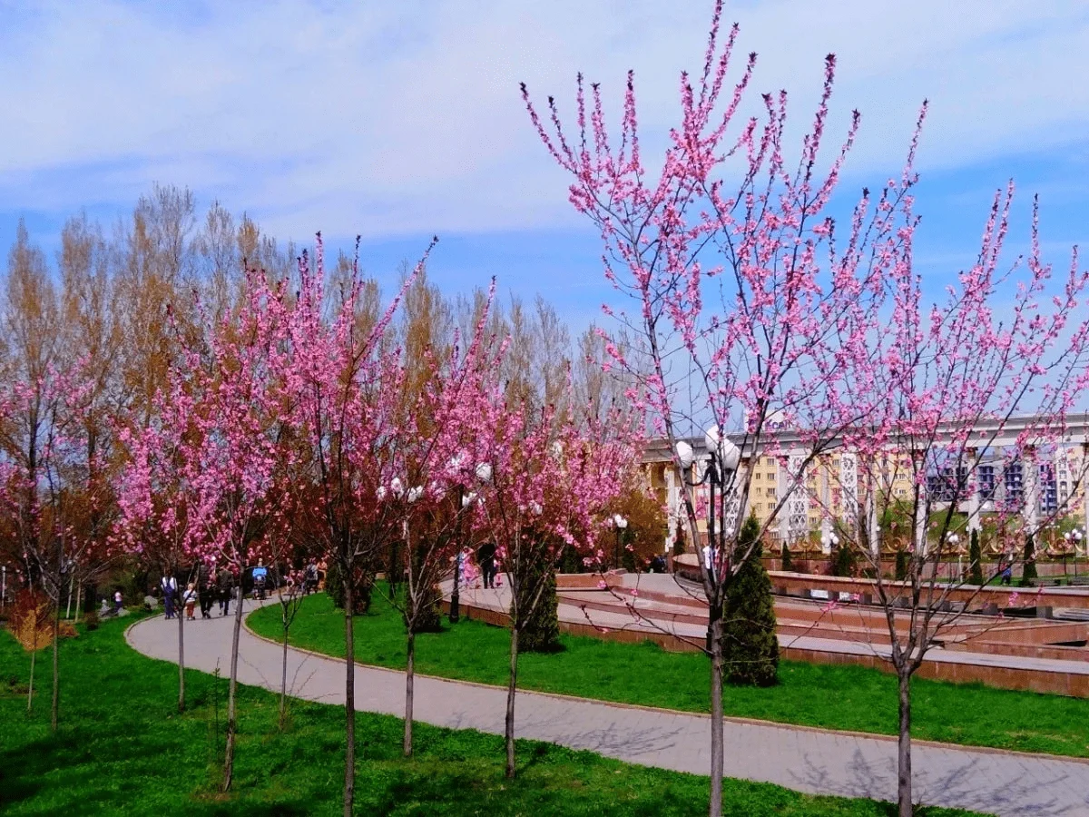 фото Victor Glutsenko