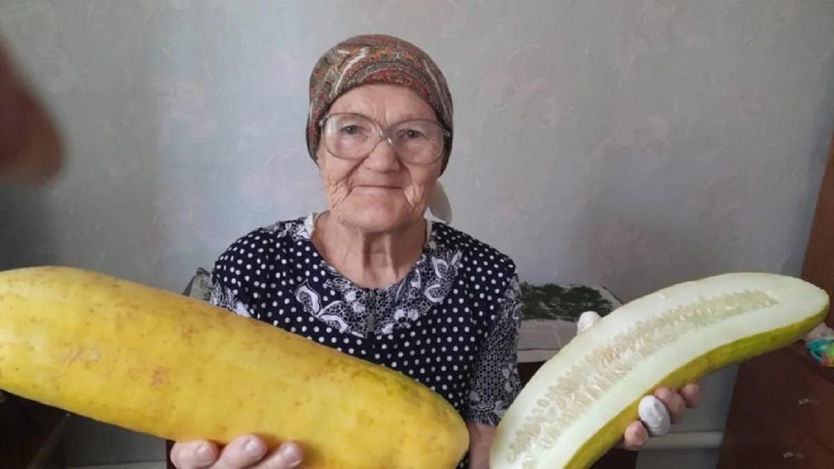 Сурет: Ольгинка ауылының әкімдігі