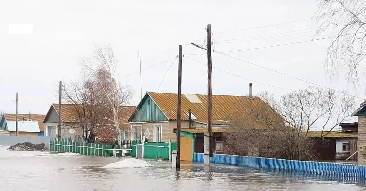 Almaty.tv.