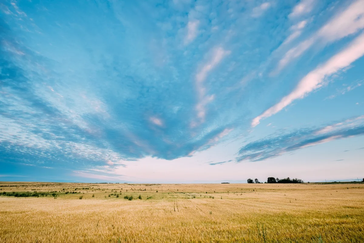 elements.envato.com