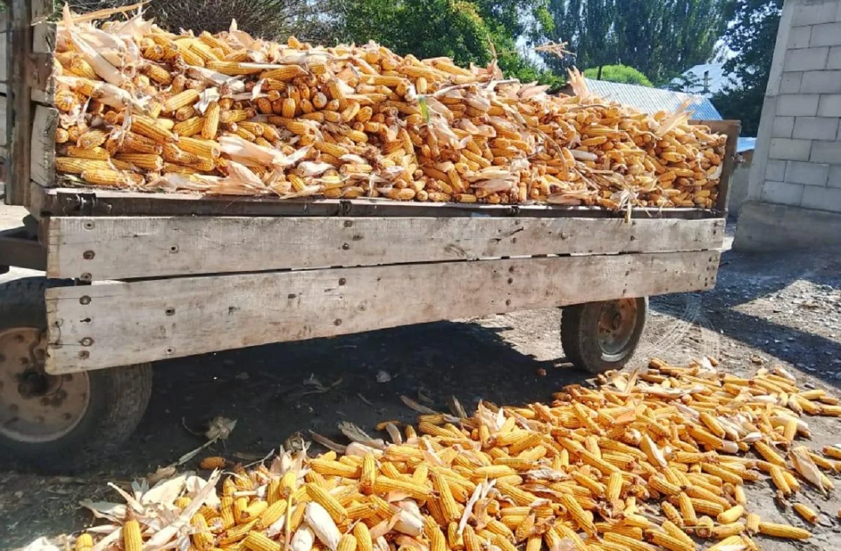 Алматы облысы әкімдігінің баспасөз қызметі