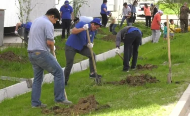 В Алматы жители м-на Саялы посадили более 200 деревьев