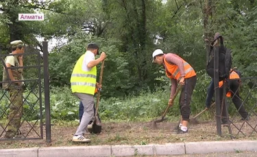 В Алматы начали благоустраивать рощу Баума