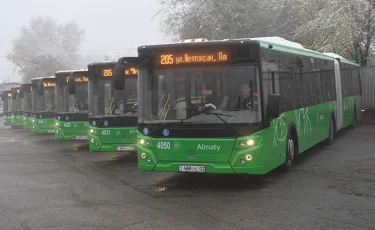 Новые автобусы-гармошки вышли на линию BRT в Алматы