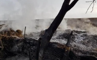 Ақтөбе облысында ауылдың шөбін өртеп жүргендердің кім екені анықталды