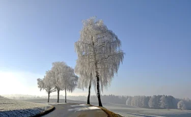 На севере Казахстана пригородное село отрезано от цивилизации