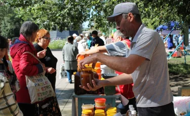 В Семее грозит исчезнуть профессия пчеловода