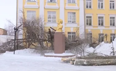 В старейшем вузе Казахстана вырубили деревья (видео) 