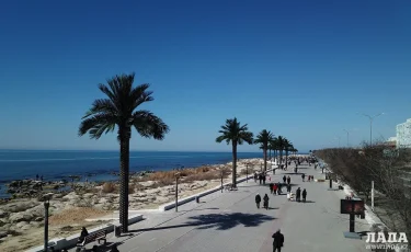 Aktau Beach: На набережной города устанавливают пальмы (видео)