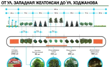 Более 700 деревьев посадят по проспекту Аль-Фараби в Алматы