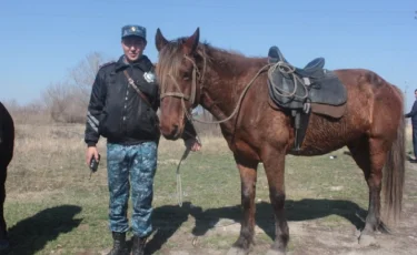 Дачи в Усть-Каменогорске патрулируют полицейские на лошадях