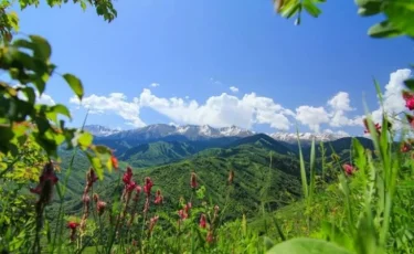 Погода в июне в Казахстане - прогноз синоптиков 