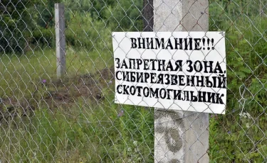 Состояние удовлетворительное: ветслужбой проверены скотомогильники в Арыси