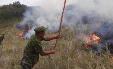 Алматы облысында өрт сөндіру кезінде үш адам қаза тапты  