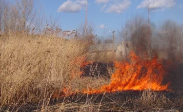 Пожары на сухостое участились в Алматы - ДЧС обращается к жителям 