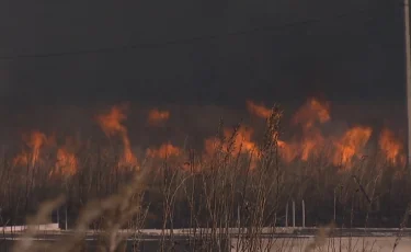 Алматыда Боралдай сақ қорғаны өртенді