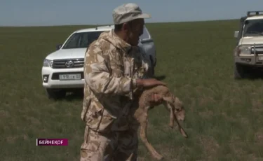 Қорықшы Ерлан Нұрғалиевтің өліміне қатысты жаңа айғақтар ашылды