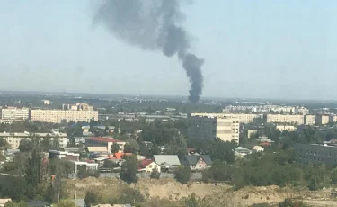 Алматыдағы өртенген жиһаз цехынан әйелдің денесі табылды 