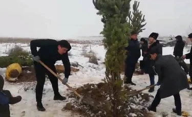 В Алматы стартовала акция по посадке деревьев