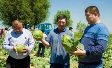 Фермерлердің еңбегін зая кетіруге біздің құқығымыз жоқ – Дариға Назарбаева