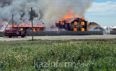 В Акмолинской области горели 3 гостевых дома, 1 сауна и 1 столовая на территории зоны отдыха 