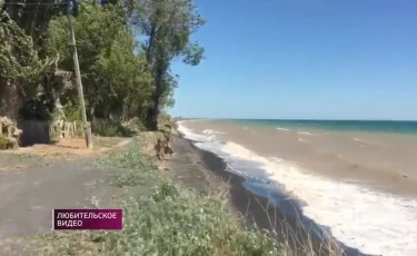 Уровень воды в Алаколе растет каждый год - местные бьют тревогу