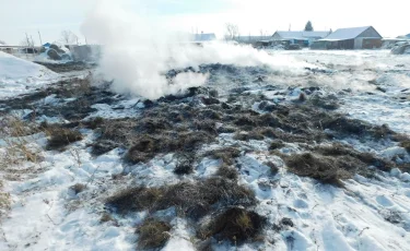 Странная месть: жителю села в СКО сожгли сено в огороде