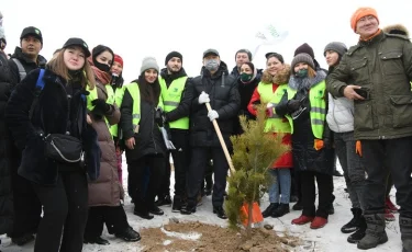 Jasyl Almaty: 380 тысяч деревьев высадят в Алматы в следующем году