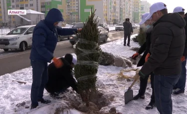 Алматының Наурызбай ауданында «Тәуелсіздік» аллеясы ашылды