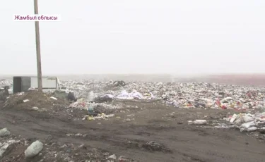 Невозможно дышать: жители Жамбылской области жалуются на зловония 