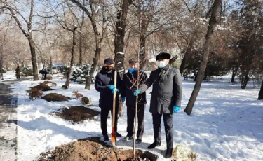 Алматыда Алғыс айту күніне орай этномәдени бірлестіктердің басшылары ҚХА аллеясын отырғызды