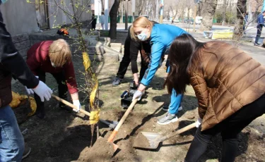 Жителям Алматы начали раздавать бесплатно саженцы