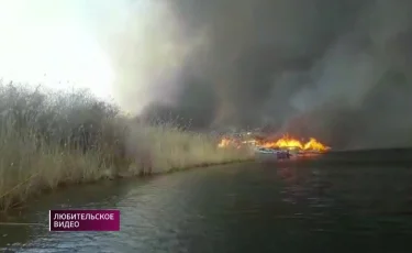 Пожар в Балхашском районе: огонь уничтожил охотничьи домики, транспорт и погубил скот