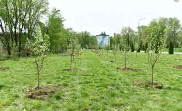 Аллея имени Елбасы открылась в КазНУ