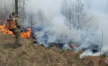 ШҚО-да кенттегі тілсіз өрт сөндірілді, орманда жалынмен күрес жалғасып жатыр  